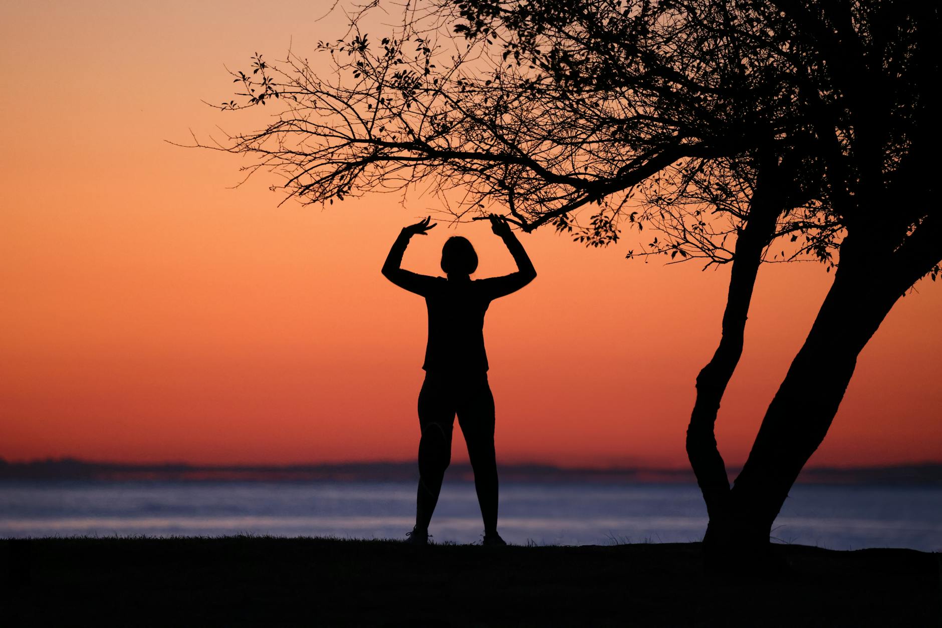 Silhouette of a person in a yoga tree pose during sunset.